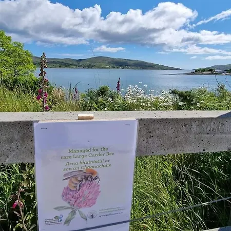 Homestay Escape To The Beara Peninsula. *